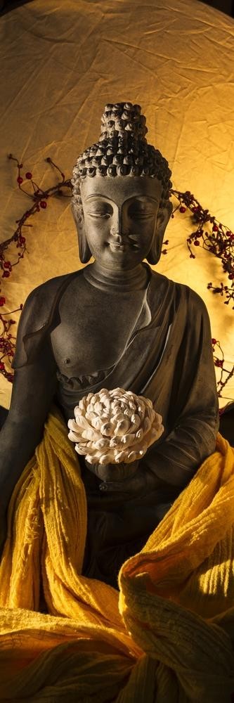 Buddha - Do Not Dwell The Past