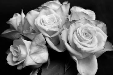 Roses Bouquet Black And White