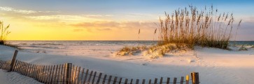 Doreen Sharp - Sunset View at the Beach