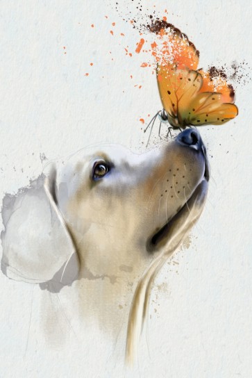 Dog - Golden Retriever with Butterfly