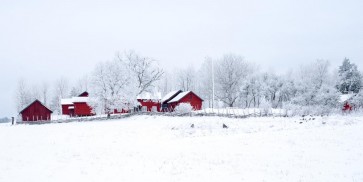 Codey Wicks - Winter - Red House Village II