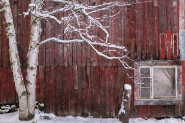 Barn - Red - No Work For Today II