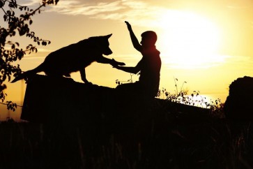 Leslie Walters - Silhouettes - Dog and Master