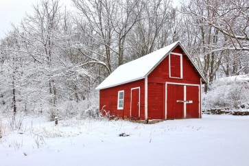 Codey Wicks - Winter - Lone Red Barn in the Forest