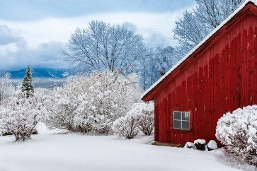 Codey Wicks - Winter - Lone Red Cabin With a Splendid View