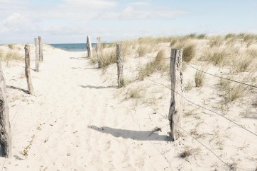 Luis Bond - Path to the Beach - Dune