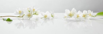 Omar Olavie - White Flowers