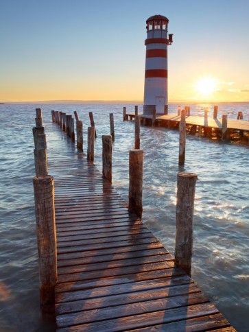 Finch Love - Lighthouse At Lake Neusiedl, Austria II