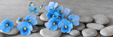 Omar Olavie - Zen Stones With Blue Flowers and Butterfly