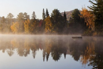 Rene Massey - Calm Morning At The Lake