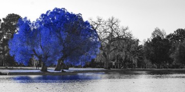 Karina Zampini - Lone Tree In Blue V