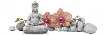Darija Mile - Buddha in Meditation With Orchids I