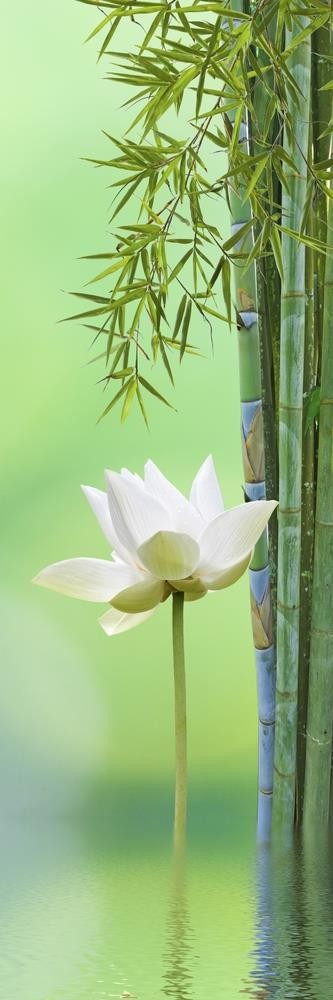 Tsunoi Masu - Bamboo Flower