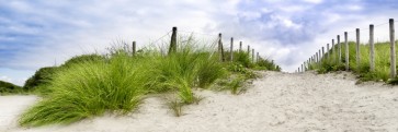 Lidia Maine - White Sandy Beach IV