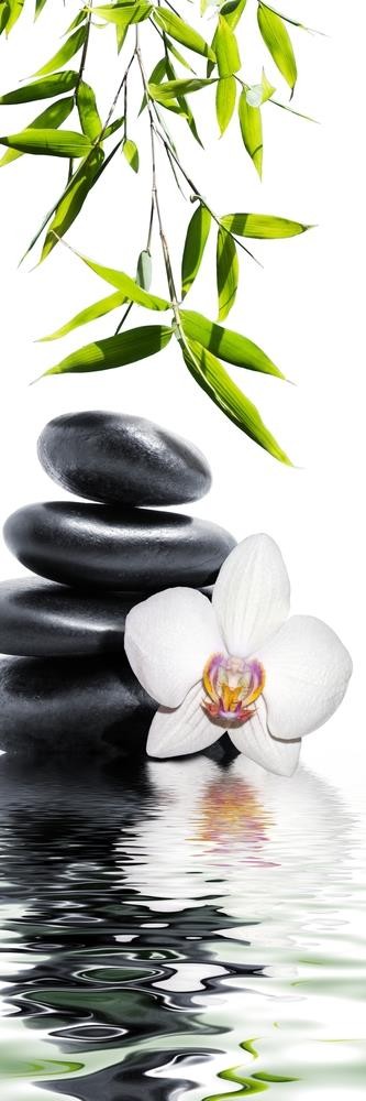 Omar Olavie - White Orchid with Black Stones