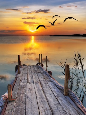Dennis Aquino - Cottage Wooden Landing Jetty At The Bahamas Sunset