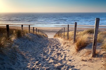 Luis Bond - Path to the Beach Sunset