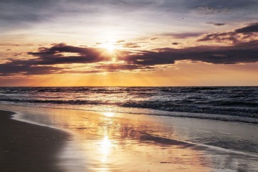 Ann Gavril - Tropical Beach - Wish You Were Here