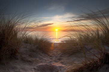 Lidia Maine - White Sandy Beach At Dawn