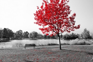 Karina Zampini - Lone Tree in Red