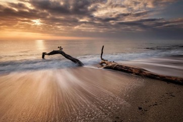 Doreen Sharp - Beach - Piece of Wood Sunset