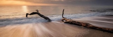 Doreen Sharp - Beach - Piece of Wood Sunset