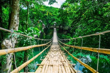 Frank Morse - Rope Bridge - Jungle