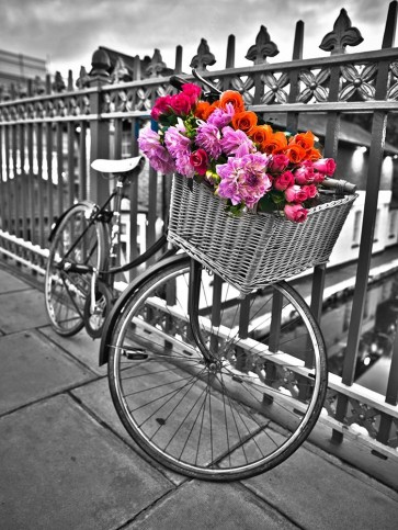 Assaf Frank - Bicycles with flowers