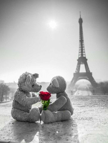 Assaf Frank - Two Teddy bears with a rose next to the Eiffel tower