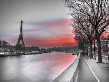 Assaf Frank - The river Seine and the Eiffel tower at dusk