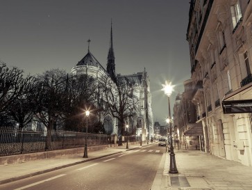 Assaf Frank - Notre-Dame de Paris-France