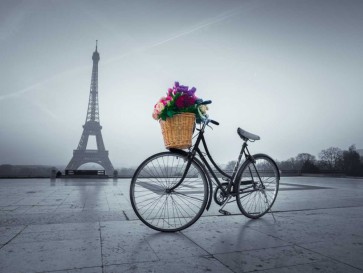 Assaf Frank - Bicycle with a basket of flowers next to the Eiffel tower, Paris, France