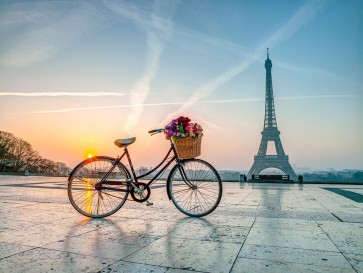 Assaf Frank - Bicycle and Eiffel tower
