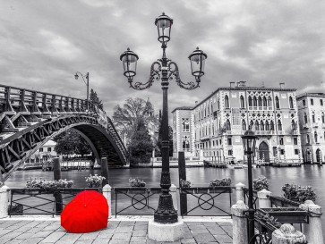 Assaf Frank - Accademia Bridge-Venice