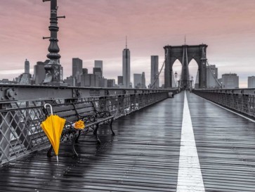 Assaf Frank - Yellow umbrella and bunch of roses on bench on pedestrian pathway, Brooklyn bridge, New York