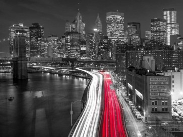 Assaf Frank - Strip lights on streets of Manhattan by east river, New York