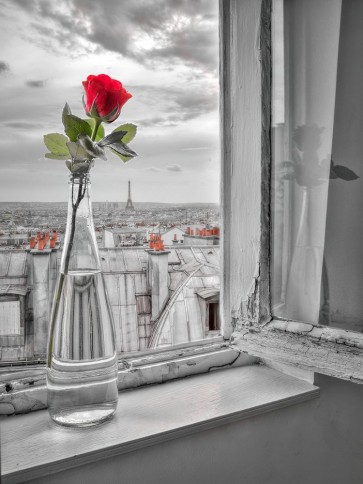 Assaf Frank - Flower vase on window with Eiffle tower in background-Paris