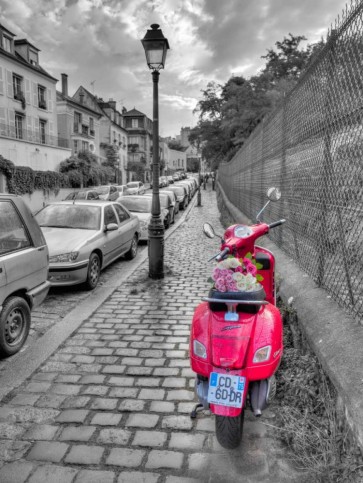 Assaf Frank - Bunch of Roses on scooter, Paris, France