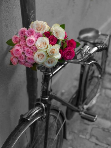 Assaf Frank - Bunch of Roses on bicycle, Paris, France
