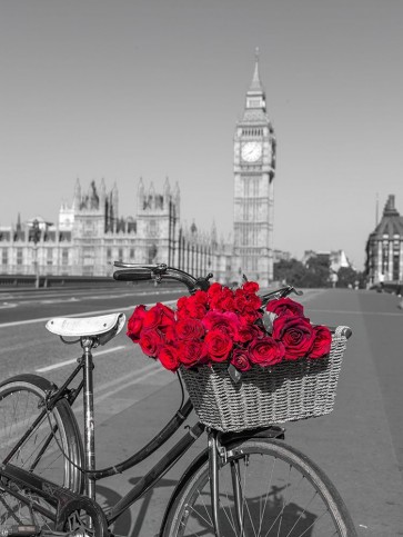 Assaf Frank - Bicycle with bunch of flowers on Westminster Bridge-London-UK