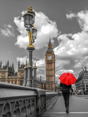Assaf Frank - Tourist with an umbrella on Westminster Bridge, London, UK