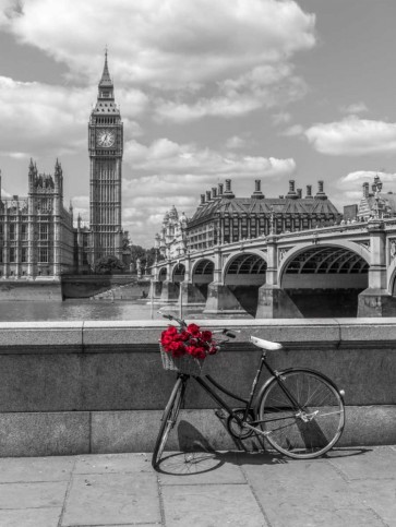 Assaf Frank - Bunch of Roses on a bicycle agaisnt Westminster Abby, London, UK