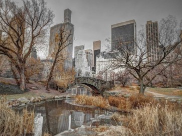 Assaf Frank - Central park and Manhattan skyline, New York