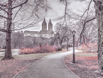 Assaf Frank - Pathway through Central park-New York