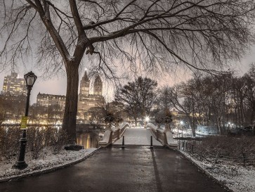 Assaf Frank - Evening view of Central park-New York