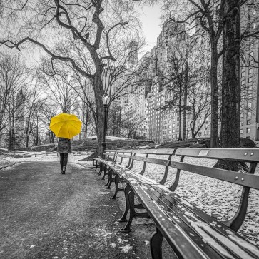Assaf Frank - Tourist on pathway with Yellow umbrella at Central park-New York
