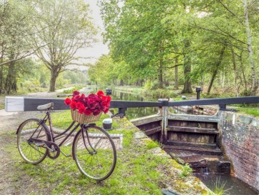 Assaf Frank - Bicycle with bunch of white roses by the canal