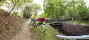 Assaf Frank - Bicycle with bunch of red roses by the canal