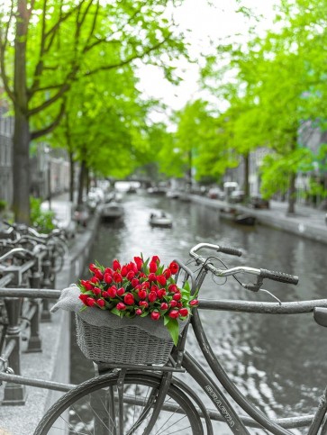 Assaf Frank - Bicycle with bunch of flowers by the canal-Amsterdam