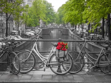 Assaf Frank - Bicycle with bunch of flowers by the canal, Amsterdam